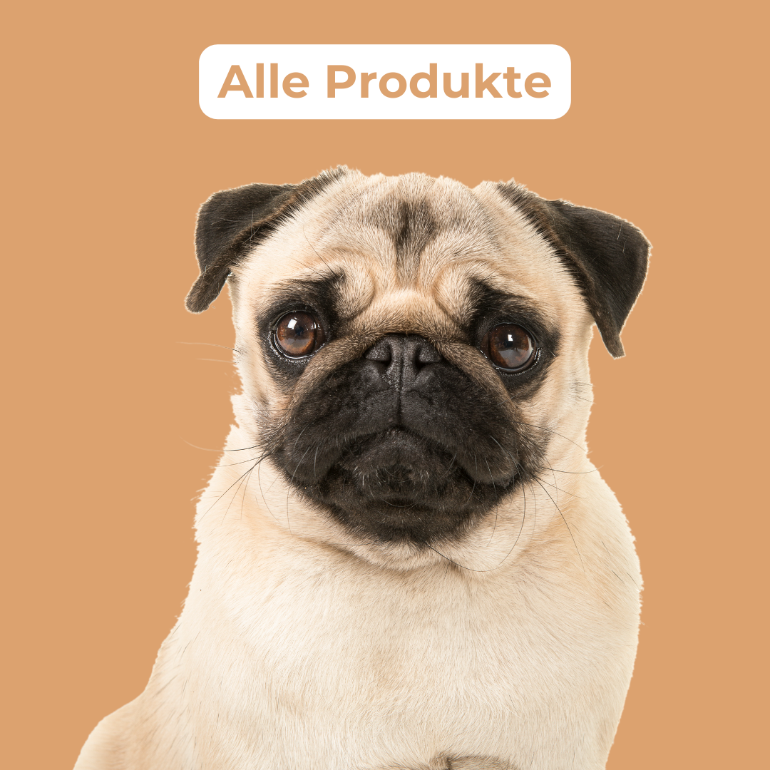 Alle Produkte