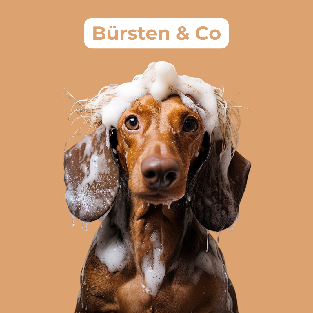 Bürsten & Co