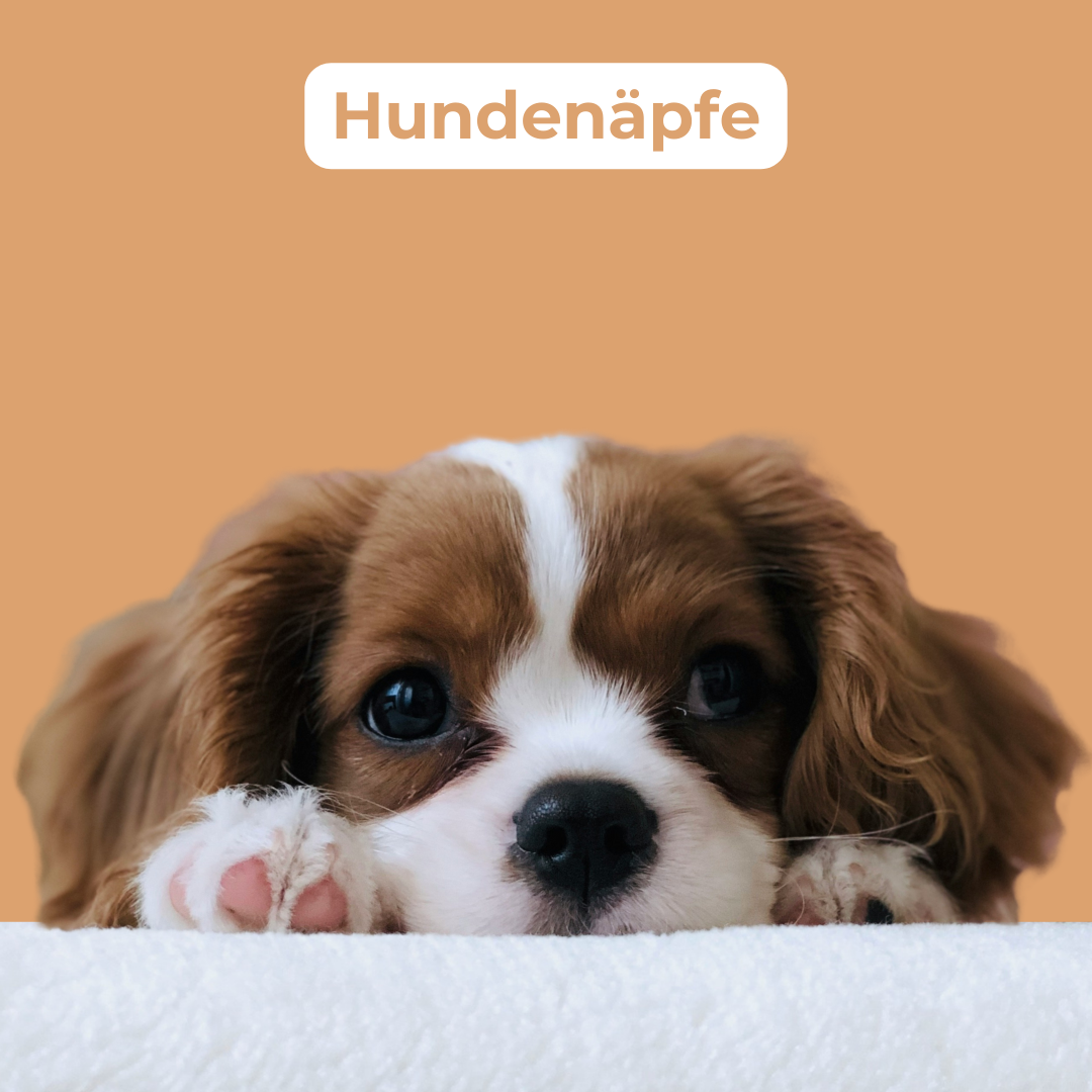 Hundenäpfe