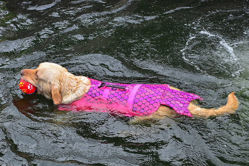 Swimmwesten "Sharky" und "Mermaid"