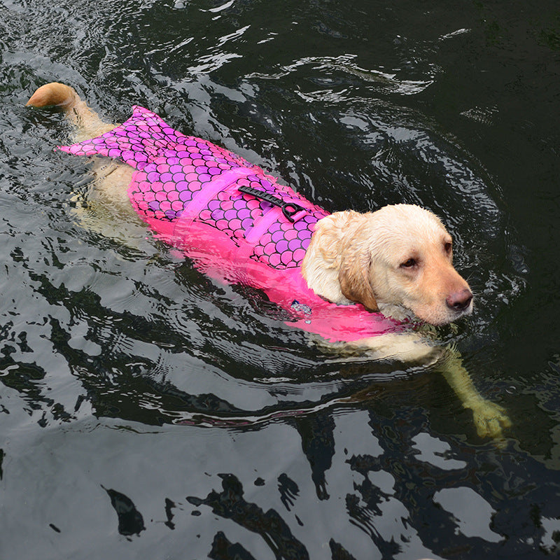 Swimmwesten "Sharky" und "Mermaid"